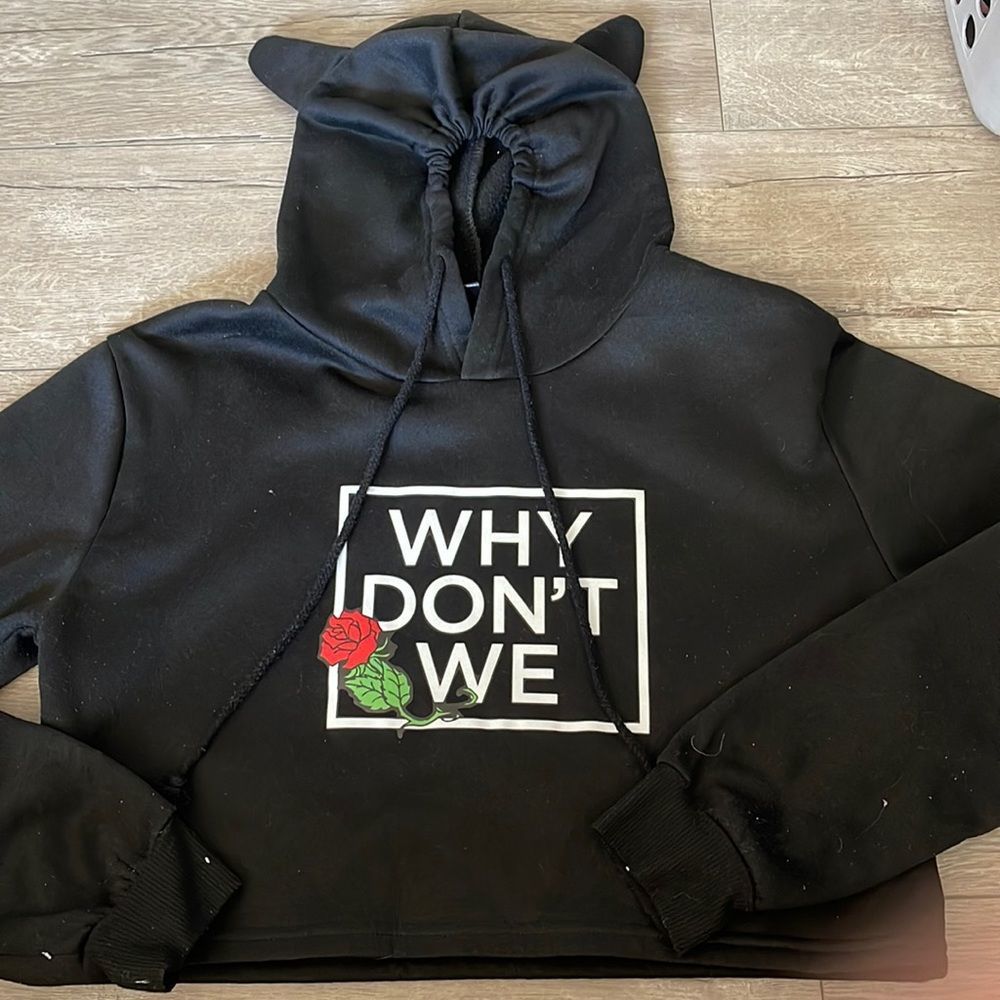 Why don’t we music band kittie hoodie sweater crop top